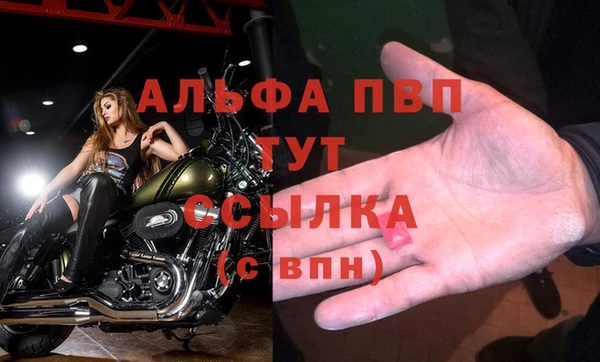 крисы Арсеньев