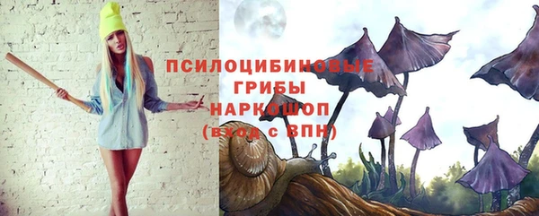 тгк Аркадак